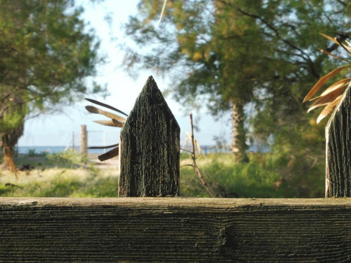 Palm Tree House By The Beach Skhoínos エクステリア 写真